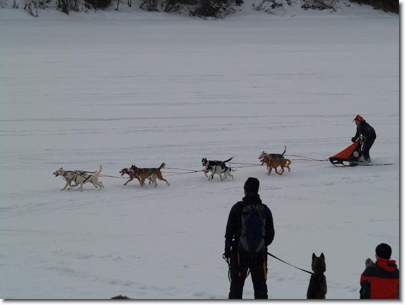 Du har nått sista bilden
